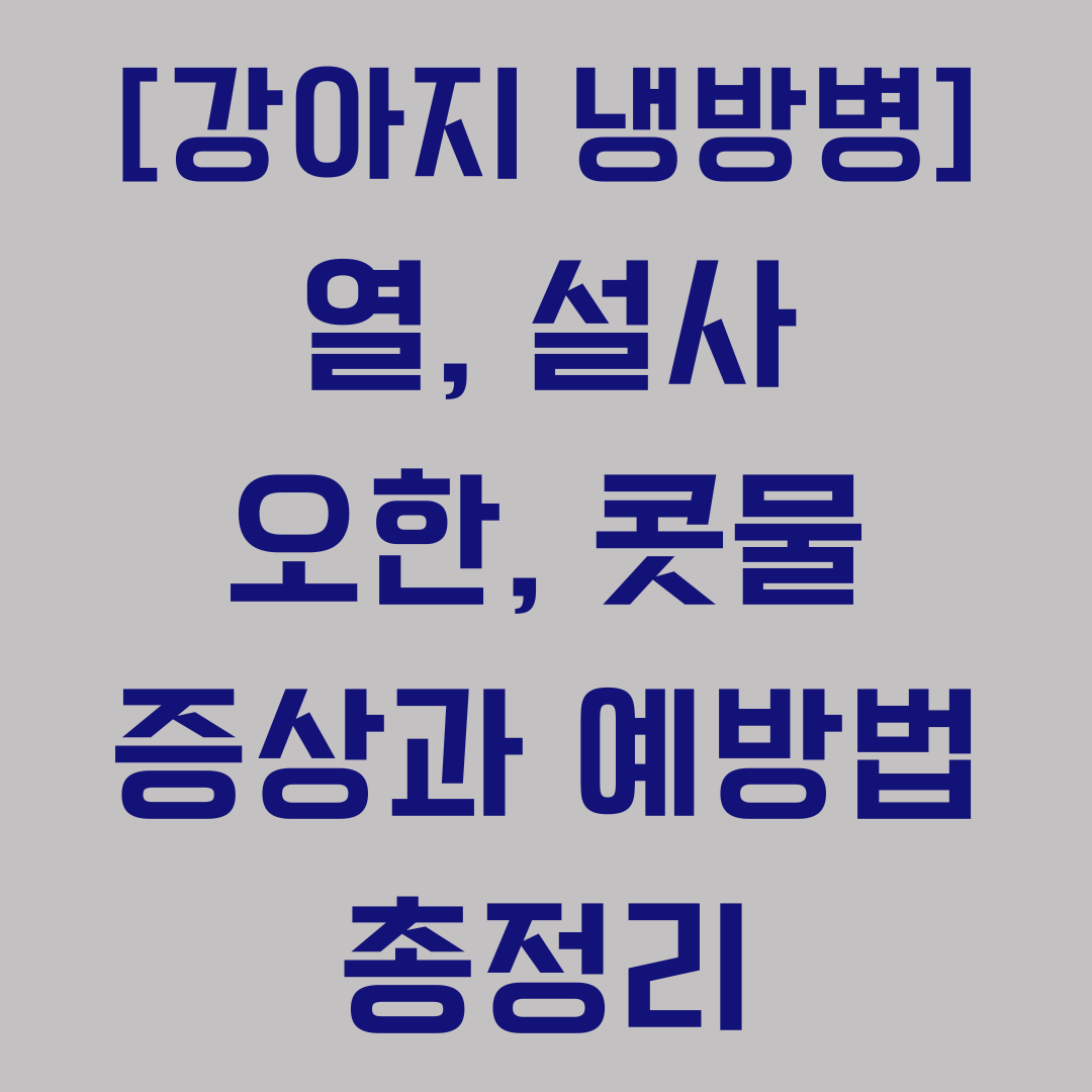 강아지 냉방병 증상과 예방법 총정리